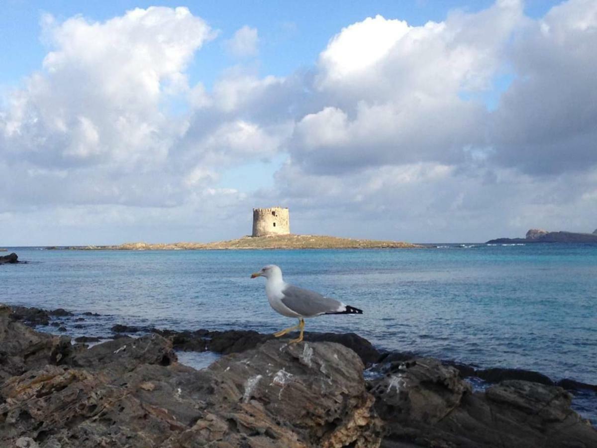 Maria Antonietta House Villa Porto Torres Exterior photo
